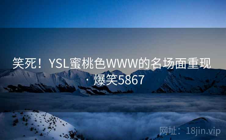 笑死！YSL蜜桃色WWW的名场面重现 · 爆笑5867